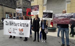 Foto: Koalicija bez krzna  / Marš protiv krzna "Fur Free Forever"